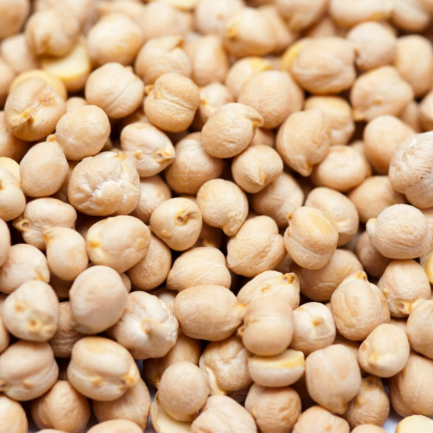 Chick Peas