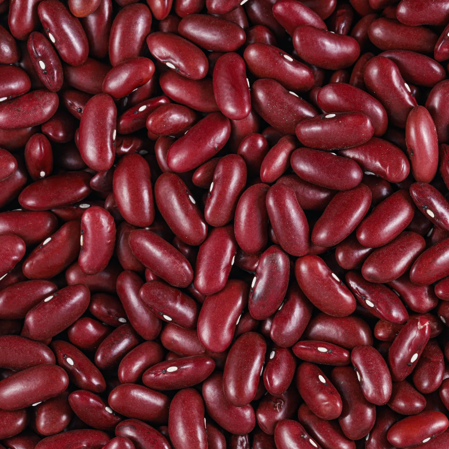 Kidney Beans