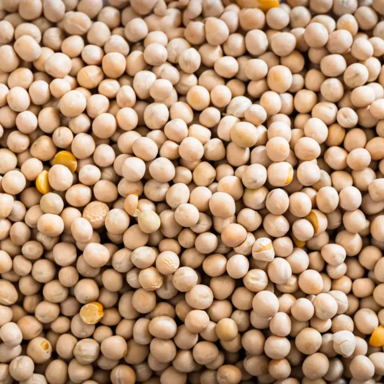 Whole Yellow Peas